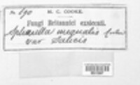Image Associated With the Occurence